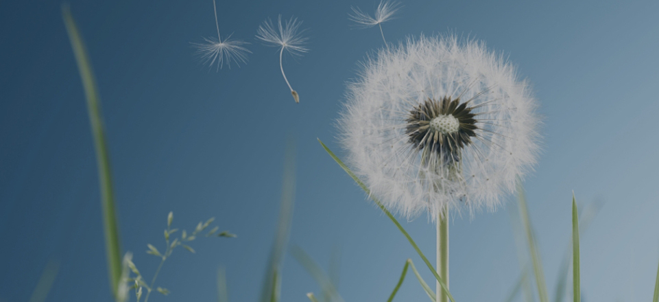 J9���λ�-������Ϸ��һƷ��